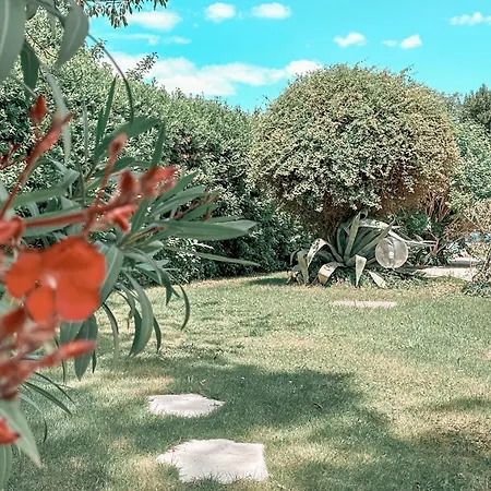 Petit Paradis Mazet Vakantiehuis