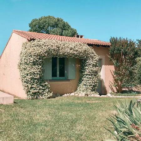 Petit Paradis Mazet Vakantiehuis Calvisson